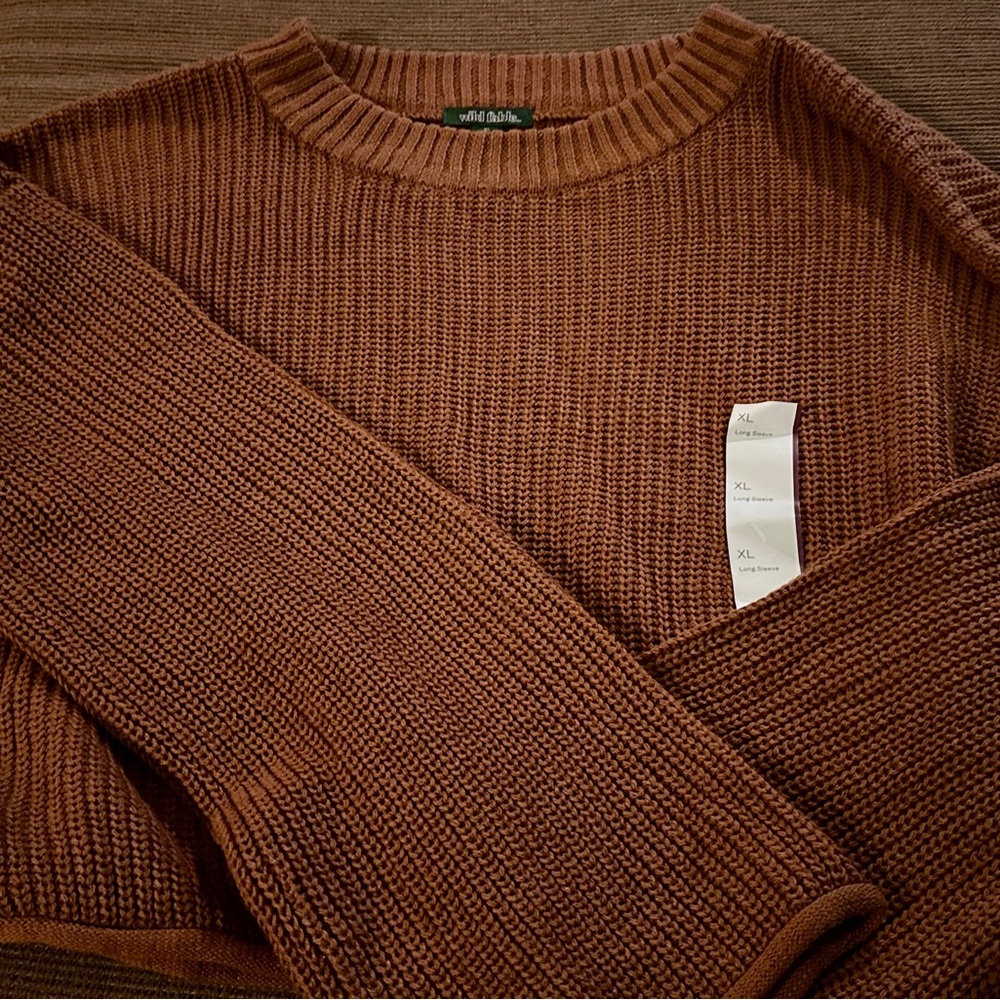 Wild Fable Women's Brown Cropped Crewneck Sweater